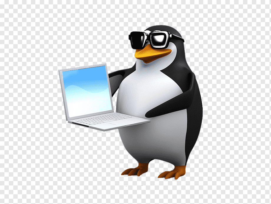 png-transparent-penguin-graphy-penguin-3d-computer-graphics-animals-photography.png